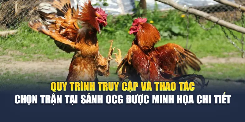 Quy trình truy cập và thao tác chọn trận tại sảnh OCG được minh họa chi tiết