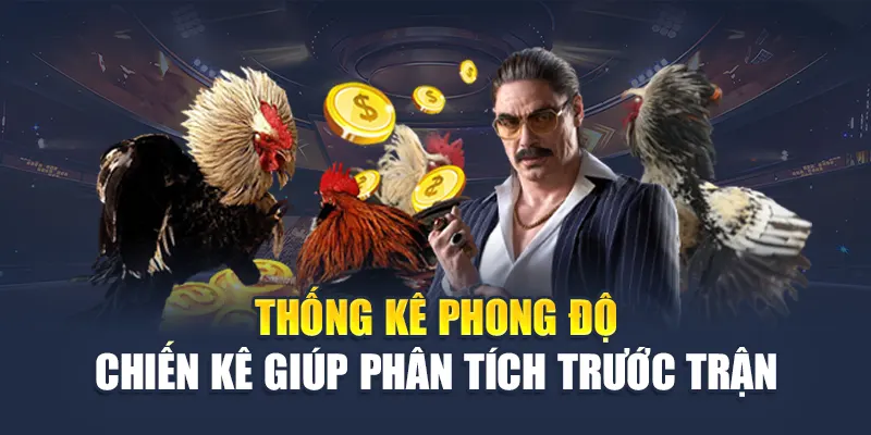 Thống kê phong độ chiến kê giúp phân tích trước trận